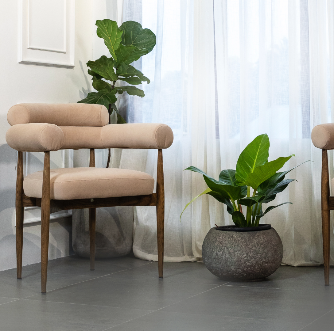 Beige dining chair